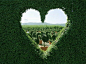 The Artful Gardener