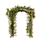 garden-7059791