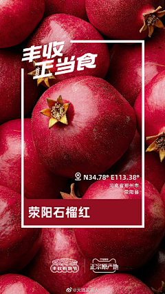 顽皮狗-采集到生鲜-单品海报