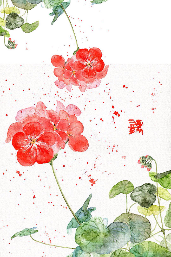 来自相册
