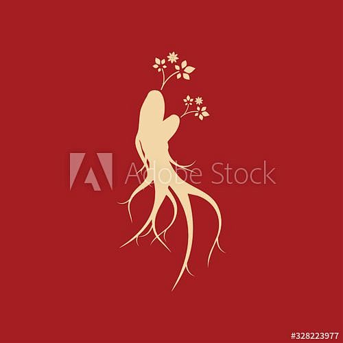 Ginseng vector icon ...