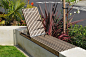 Mod. Kensington - Modern - Garden - San Francisco - by AFLA-Landscape Design | Houzz UK : Custom in-build sun chair in sitting wall