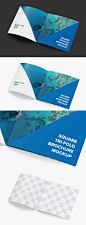 方形海报传单样机模型 Square Tri-Fold Brochure Mockup 04_样机_乐分享素材网_psd素材_平面素材_png素材_免费素材_素材共享平台