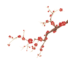 野小野采集到GIF