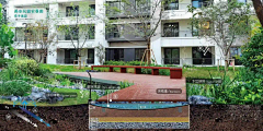 虫声泣露_采集到· Landscape | 场地 | 滨水景观