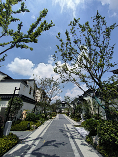 独角嘼♚采集到叠排巷道