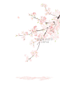 樱花 古风水彩花卉绘画班