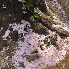 硫磺·维C采集到场景