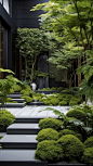 花园设计灵感|现代森系庭院