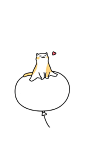 猫猫