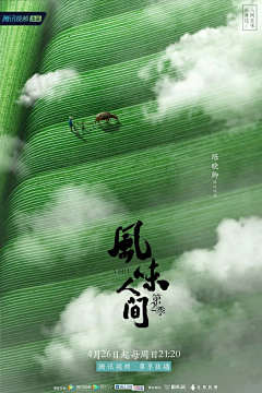 _Maori_采集到端午节