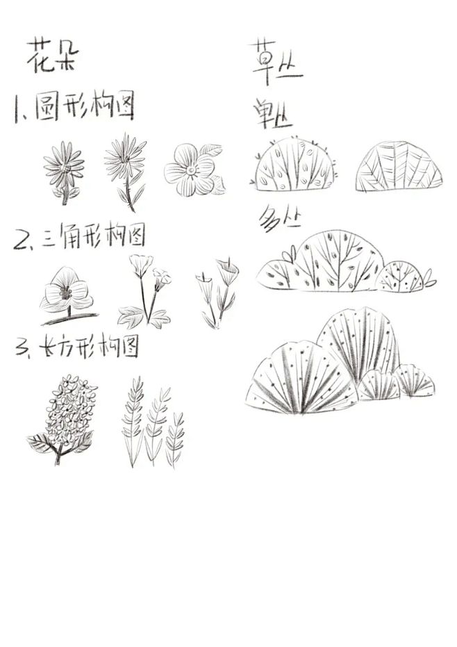 儿插植物临摹