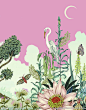 定位花