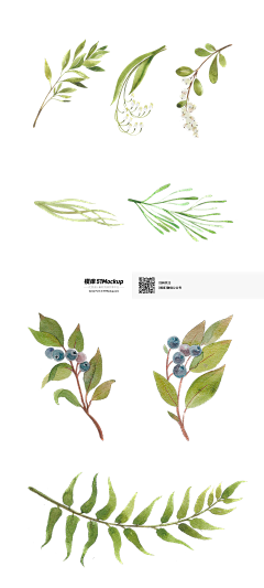 censor-qOhpWc7C采集到植物