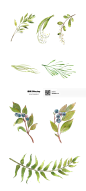 植物素材png