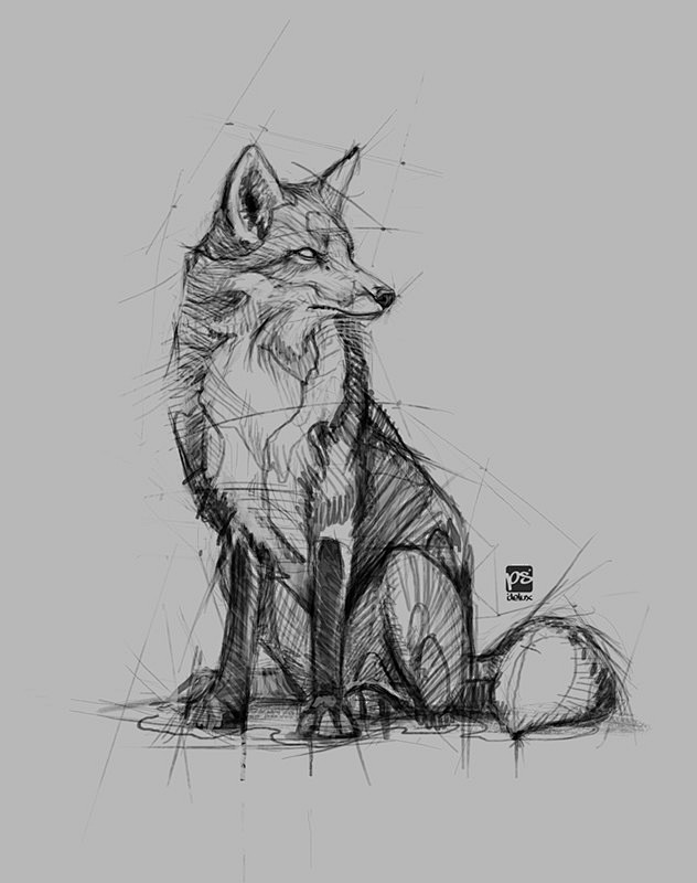 hummingbird + fox, p...