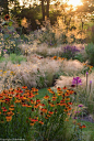 #modernlandscapedesign