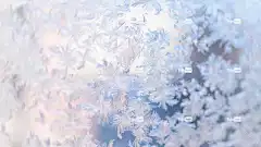 冬天 季节 4K壁纸1920X1080 免费壁纸 酷背景 高清壁纸