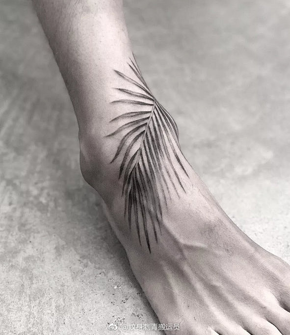纹身 tatoo 针杉树