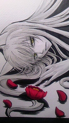 油条LM曲线采集到黑白插画