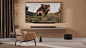 LOEWE. Collection ©2020/21 : LOEWE is well-known for its strive for perfection. The aspiration for the best possible visual and sound quality made the brand stand out.The combination of cutting edge technology and intelligent algorithms allow Loewe TV Mod