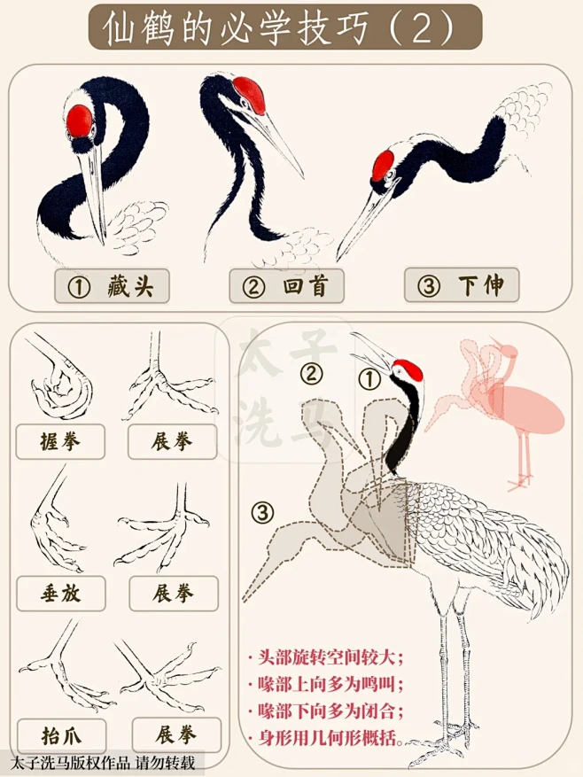 国画入门｜仙鹤的必学画法（2）好看好学‼...