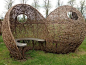 Tom Hare, Willow man: Willow pods!