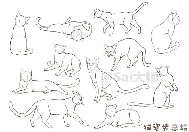 #绘画学习# 【猫狗设计绘制画法】猫和狗...