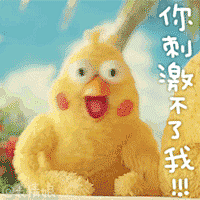 鹦鹉兄弟表情包 : 再送几张壁纸 　　 　　 　　 　　 　　 　　