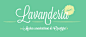 27 lavenderia free font in 35 Totally New Free Fonts for your Designs