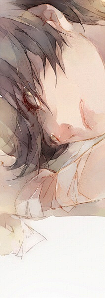 wu11采集到B大大—眠狼
