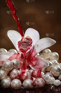 醉酒的兰花