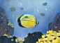 IN THE CORAL REEF : Illustrations depicting the coral reef fish life , card game design, for a client from Kuwait.  