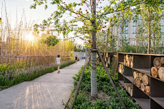向sunflower采集到公园
