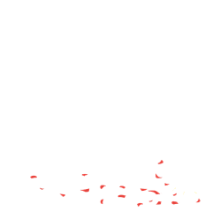 炎夏井蛙采集到年货节