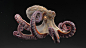 Octo, Pedro Pereira : Octopus textures and look dev - personal project
Scroll down for close-ups