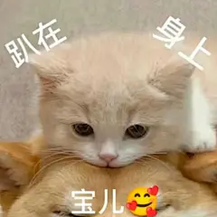 猫me表情包一个人水饺不好丸_03