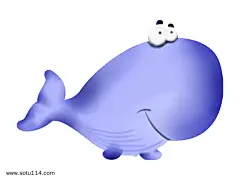 手绘蓝鲸鱼动物插画_3027088306