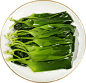 海带苗