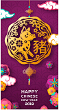 创意中式复古新年春节花卉灯笼剪纸祥云2019猪年海报设计矢量素材-淘宝网