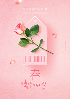 小啊小青春采集到配色