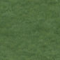 grass