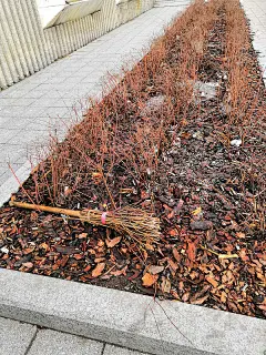 香烟不小心被扔进了干枯的草地里。烟头扔进绿色草地，污染自然和环境