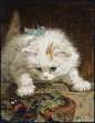 19世纪荷兰画家 Henriëtte Ronner-Knip ​ ​​​​作品中的猫咪 ​​​​