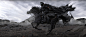 Final Visual 