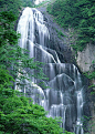 山腰上绿树和流淌的山泉|jpg图片素材,大山,风景图片,高山,流淌,瀑布,山泉,摄影素材,摄影图片,树丛,树林,自然景色