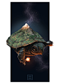 Celestial Turtle by lordFelwynn on deviantART