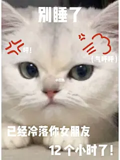 「早安」可爱小猫早安表情包合集 get✓