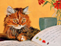 手绘猫咪可爱图片