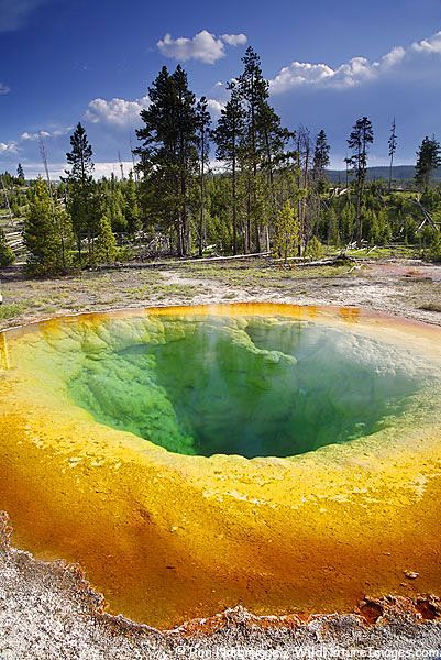 Yellowstone Morning ...